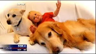 Pet Photography Tips