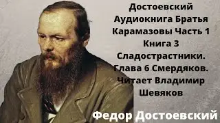 🌹🌹🌹Достоевский Аудиокнига Братья Карамазовы слушать онлайн Часть 1 Книга 3 Глава 6