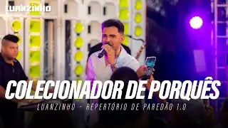 Colecionador de Porquês - LUANZINHO - Repertório de Paredão 1.0