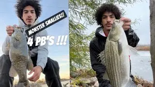 INSANE River Topwater Fishing for GIANT SMALLMOUTH! (4 PB’S!!!)