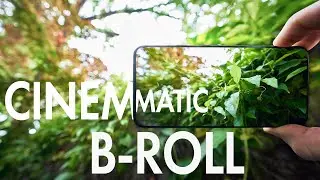 Cinematic Smartphone B Roll - IN YOUR BACKYARD!!!