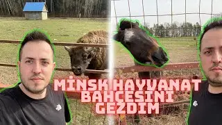 I Visited Minsk Zoo. Interesting animals are in this video. #vlog -4 #belarus