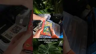 SEGA video game collection found! This was unexpected… 