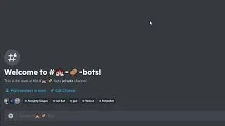 How to use Slash Commands