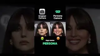 The Unstoppable Rise of Celebrity Secret Filters Revealed: Tiktok Edition Success