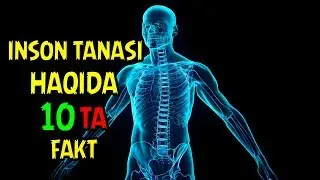 Inson tanasi haqida 10 ta qiziqarli fakt | Инсон танаси ҳақида 10 та қизиқарли факт