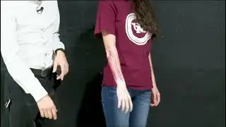 Músculos posteriores del antebrazo