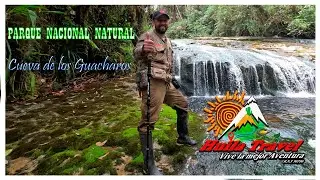 Tourism in Colombia, How to get to the Flora and Fauna of the Cueva de los Guacharo National Park