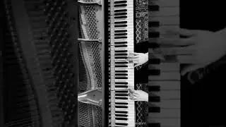 4/2-Chord Triggers Baroque Improv #shorts