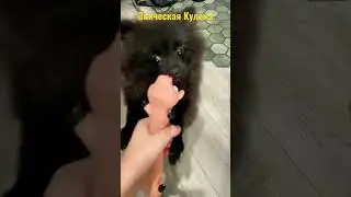 Хоррор Кулёмы