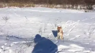 Это фиаско братан