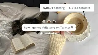 how I gained followers on Twitter 🕊️ | free sources!