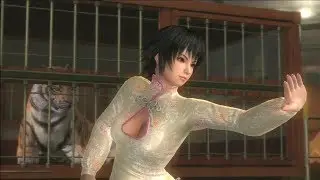 Pai Intermediate Guide (7/7): Randomness