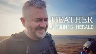 Autumn is Coming - Heather is the Herald of Autumn Photography