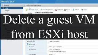 How to delete a guest VM from ESXi host