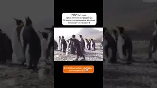 Чтобы получить доступ к Бесплатной платформе подготовки к ЕГЭ, переходи по ссылке в шапке профиля ❤️
