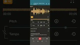 How To Make Up Tempo's 1st Voice Changer: Parrot