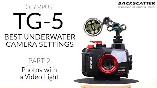 Part 2: Photos with a Video Light | Olympus TG-5 Best Camera Settings for Underwater Photography