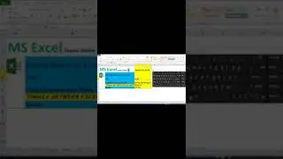 Format Painter shortcut key in Excel I Format Painter in MS Excel I Shortcut cut keys I Excel tips