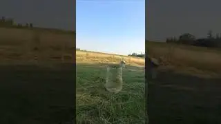 стрижем траву для кроликов #дача #огород #дом #рассада #дачныйдомик