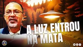 MYSTERIOUS LIGHT ENTERED THE FOREST IN FRONT OF ME ON BR-135 - Cortes do Brazil UFO