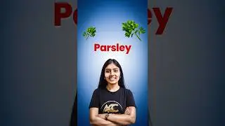 || Parsley ||