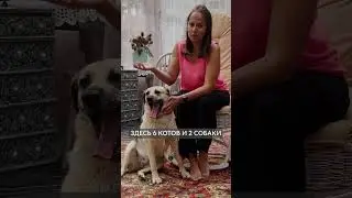 Дача РЕСТАВРАТОРА Светланы Гордей. Диковинки в деталях