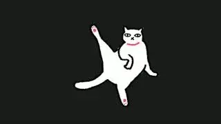 Dancing Cat - Dance till Morning (Prod.Jamwon)