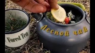 ЛЕСНОЙ ЧАЙ В ПРЕДГОРЬЯХ ИССЫК-КУЛЯ / FOREST TEA.  CAMPING TEA. WILD LIFE