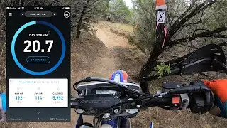 Whoop Strap Strain break down from the Wild Cat Enduro