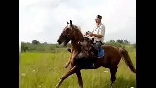 Көкпар арғымағы🏇💪 | Рысак