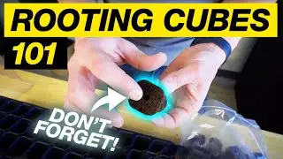 CLONING WITH ROOTING CUBES IN 60 SECONDS