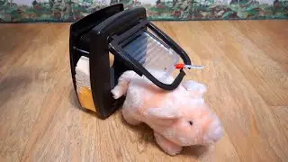 Дверка для кошки