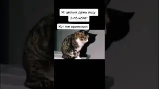 Жаль пацана 🤣