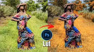 Tuto Photoshop:  Comment CRÉER des LUTs avec Photoshop.