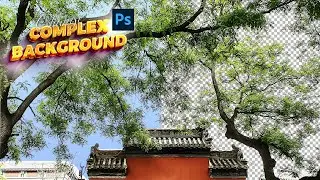 Complex background remove photoshop | Adobe Photoshop