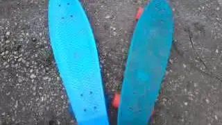 Penny Bord Challenge with AnnDogsLike