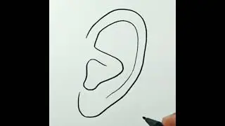 How to draw Human Ear 