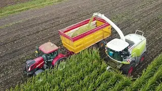 Mais hakselen 2021 | Chopping maize | Maishäckseln | Claas | Case IH | New Holland | Maisoogst XL