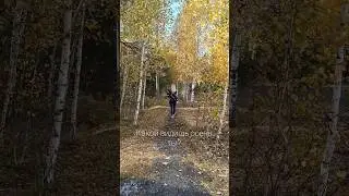 Так я вижу осень, а как видишь ее ты? / Слова со смыслом