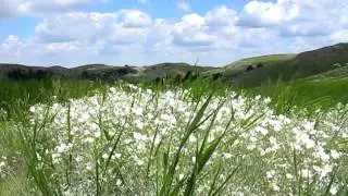 Плато Караби-яйла (Крым)