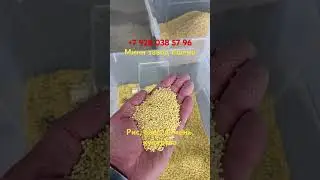 Мини завод шлифовка #пшено #кукуруза #овес #горох