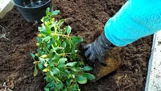 VID 20200501 140246