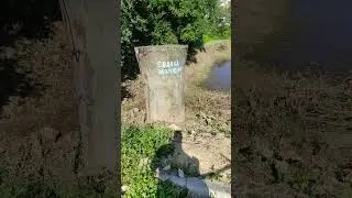 3 сентября 2024 г.
