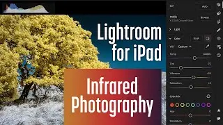 How to edit color infrared photos in Lightroom for iPad with Apple Pencil