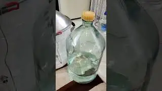 Не знаю как вы, а я в космос😀