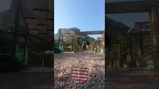 Семья