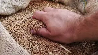 GB Distillery Tour with Dan Garrison