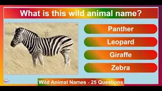 Wild Animal Names Part 1 | 29 Questions Quiz