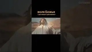 для каждого христианина #салтаненко #воля
